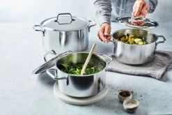 Demeyere Apollo Pot Met Deksel 20 Cm / 3 L -Keukengerei Promotiewinkel demeyere apollo pot met deksel 9