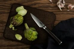 EGO VG-10 Paring Knife 9 Cm 8 EGO VG-10 Paring Knife 9 Cm -Keukengerei Promotiewinkel ego vg 10 paring knife 9 cm 5