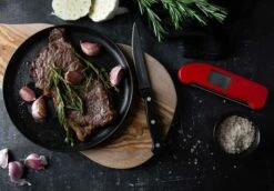 Thermapen One Thermometer, Grijs -Keukengerei Promotiewinkel eti thermapen one thermometer 54