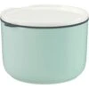 Villeroy & Boch ToGo&ToStay Lunchbox Groen, 13x9,5 Cm