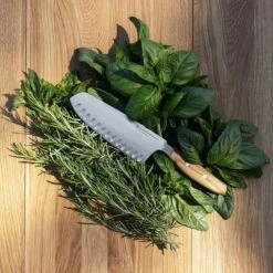 Wüsthof Amici Santokumes 17 Cm -Keukengerei Promotiewinkel wusthof amici santokumes 17 cm 1