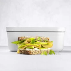 Zwilling Fresh & Save Lunchbox Plastic, 11x19 Cm / 0.8 L -Keukengerei Promotiewinkel zwilling fresh save lunchbox plastic 18