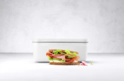 Zwilling Fresh & Save Lunchbox Plastic, 15x22 Cm / 1.6 L -Keukengerei Promotiewinkel zwilling fresh save lunchbox plastic 22